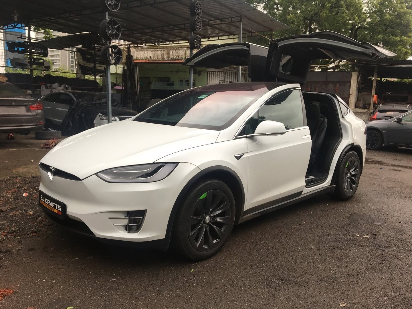 Tesla EV Customization